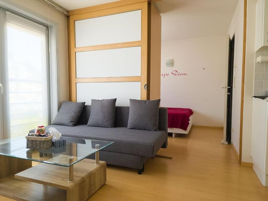 Cozy Studio With Pool Close To The Sea أوستيند المظهر الخارجي الصورة